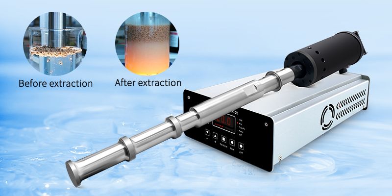 How should the probe of an ultrasonic extraction apparatus be maintained?